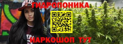 спиды Заводоуковск
