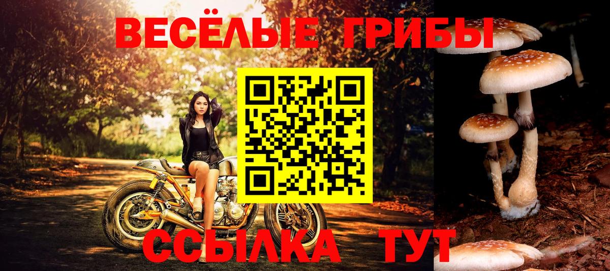 Галлюциногенные грибы MAGIC MUSHROOMS  где найти   Лыткарино  Вход с VPN  Псилоцибиновые грибы Cubensis 